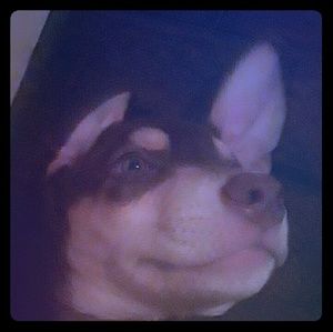 Meet your Posher, Jen